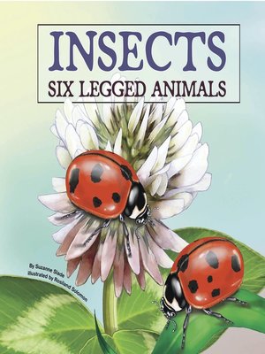 cover image of Insects